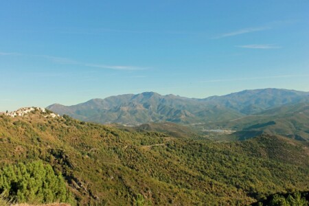 Maquis Corse